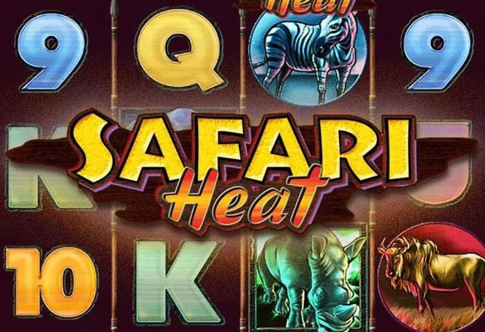 Tutti i metodi di pagamento accettati da Rodeoslot Casino